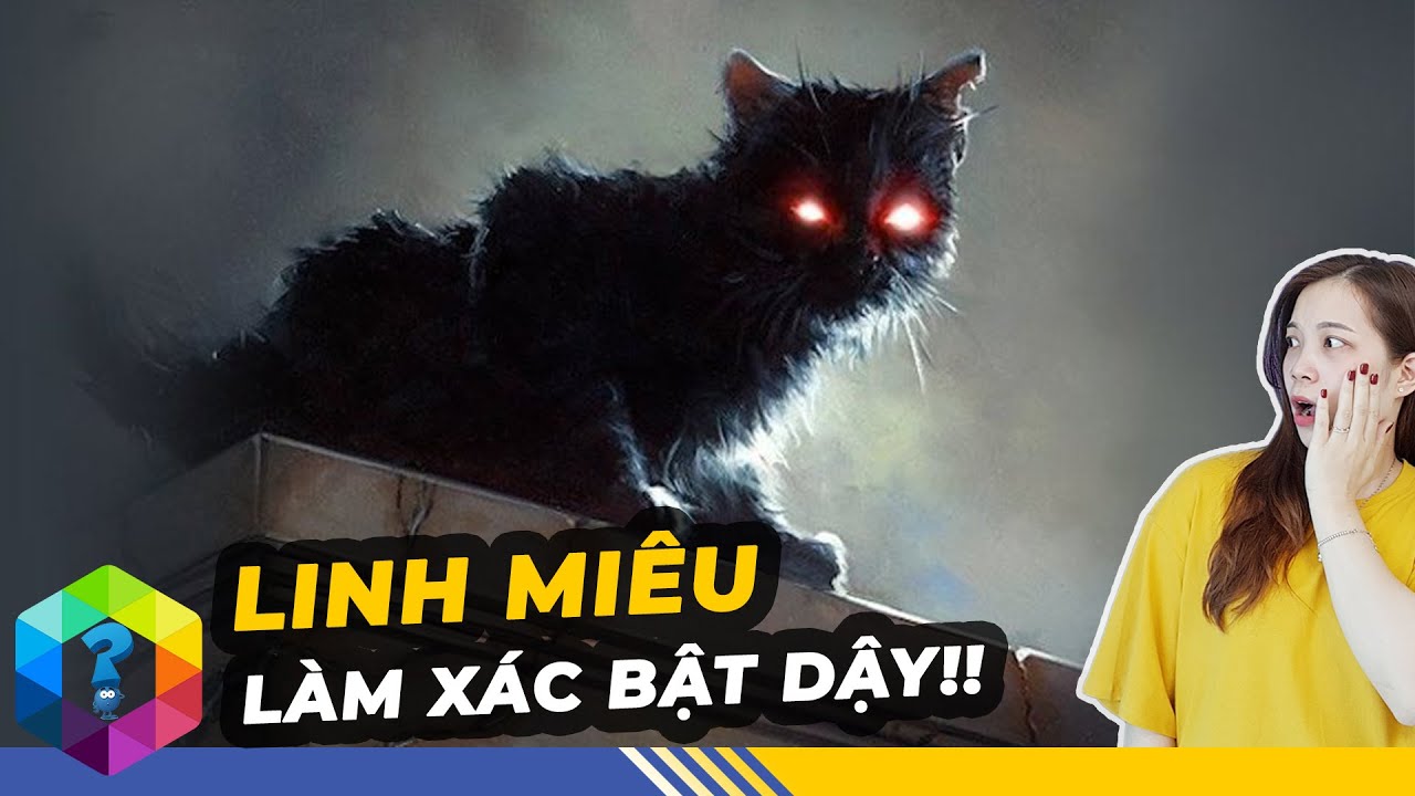 Truyền thuyết Linh Miêu nhảy qua xác