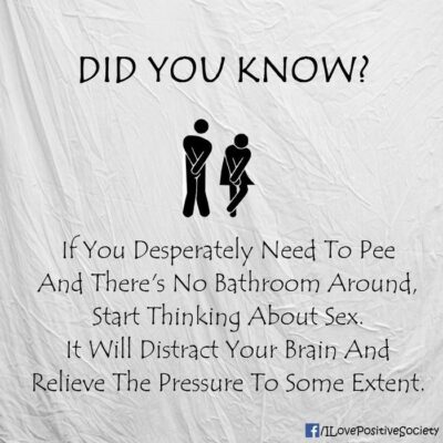 Nghĩ đến "chuyện ấy" khi không thể đi toilet