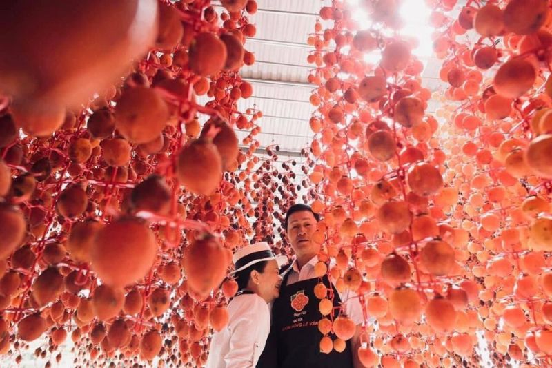 hồng treo bắt mắt